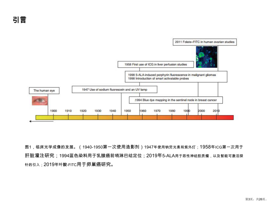 opticalinnovationsinsurgery教学ppt课件.ppt_第3页