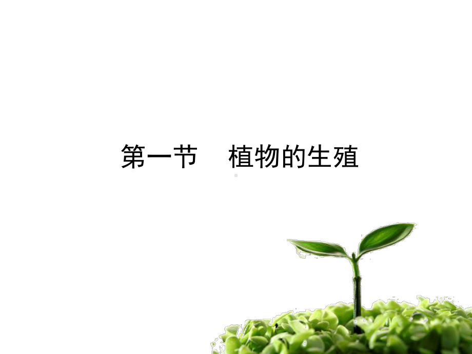 一节植物的生殖.ppt_第1页