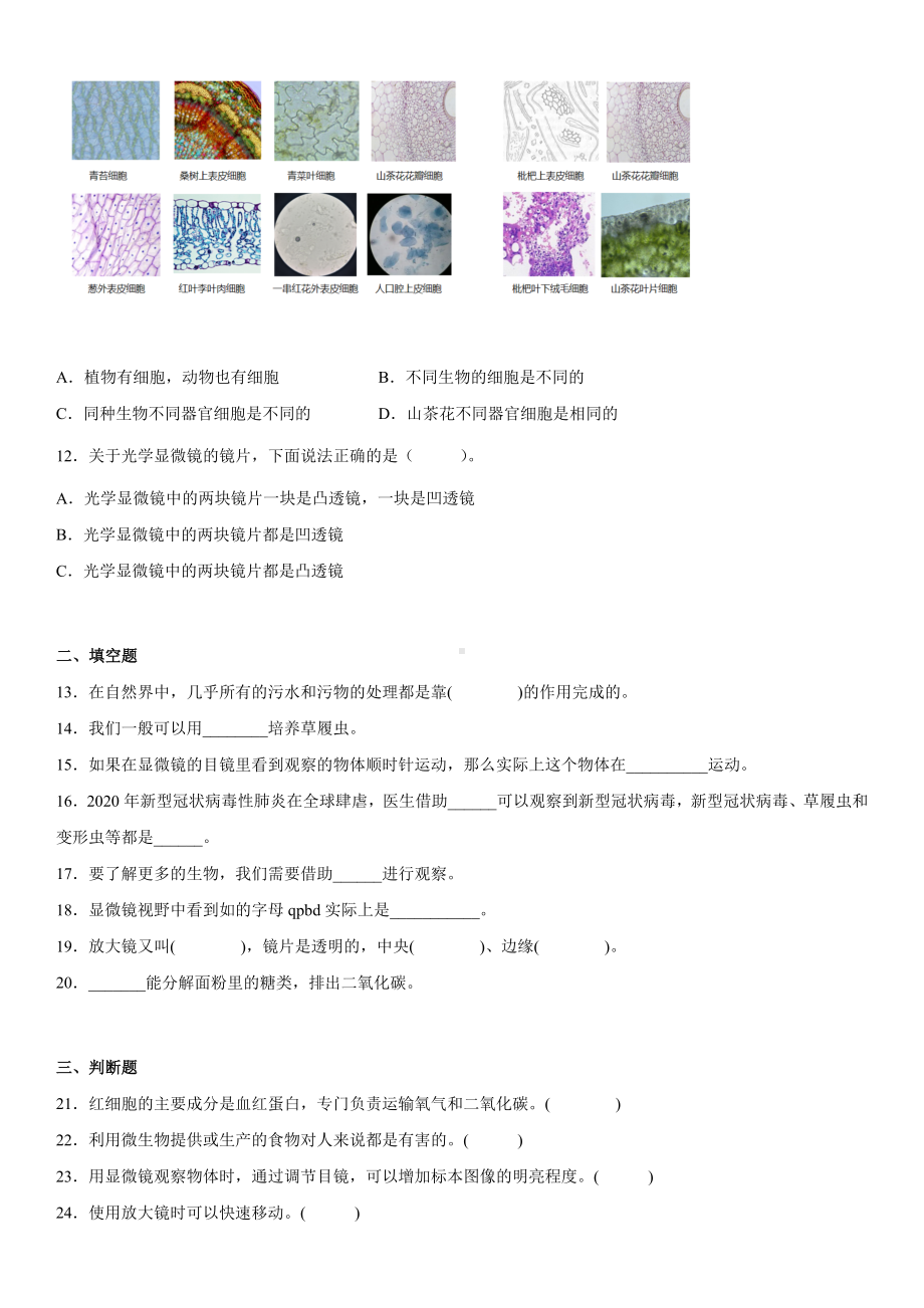 2022新教科版六年级上册《科学》第一单元《微小世界》测试卷（单元测试）(3).docx_第2页