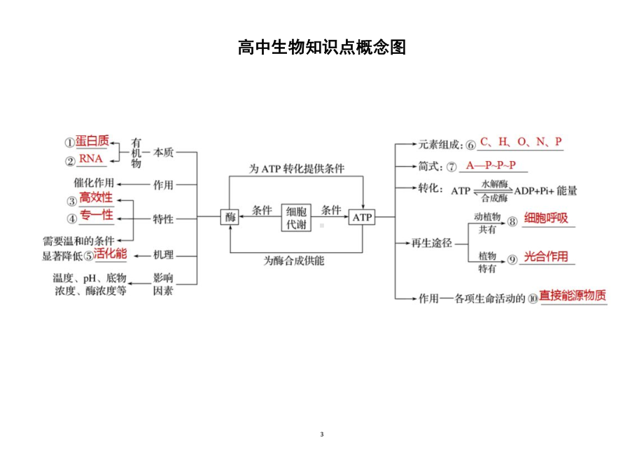 高中生物高考复习知识点概念图汇总.docx_第3页