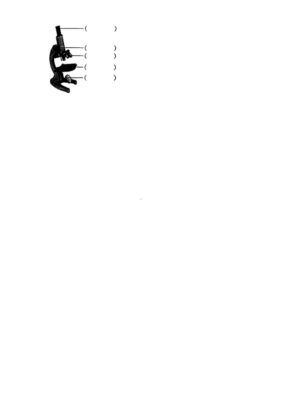 2022新教科版六年级上册《科学》第一单元《微小世界》（单元测试）(6).docx_第3页