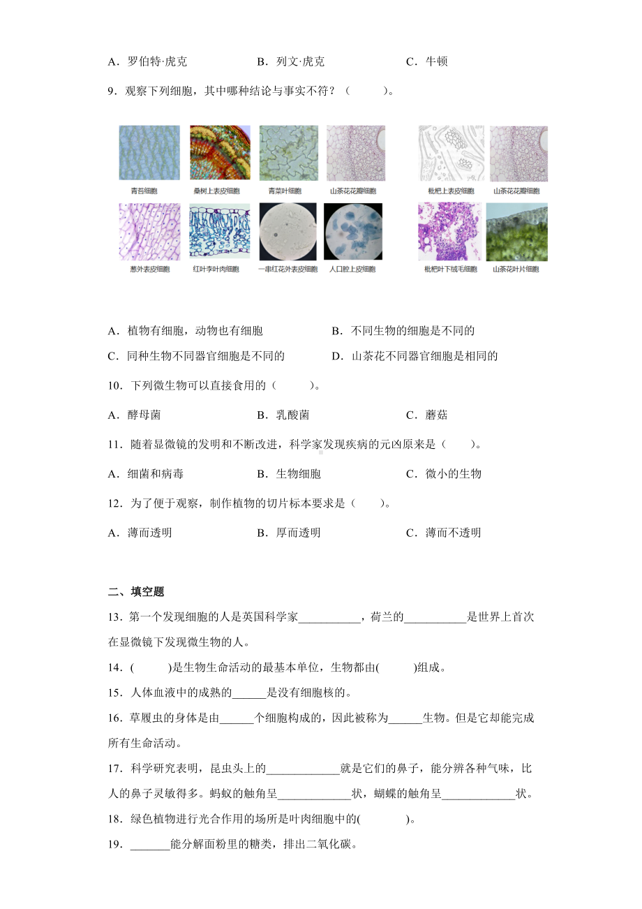 2022新教科版六年级上册《科学》第一单元《微小世界》测试卷B（单元测试）.docx_第2页