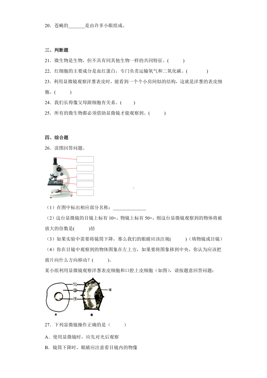 2022新教科版六年级上册《科学》第一单元《微小世界》测试卷B（单元测试）.docx_第3页