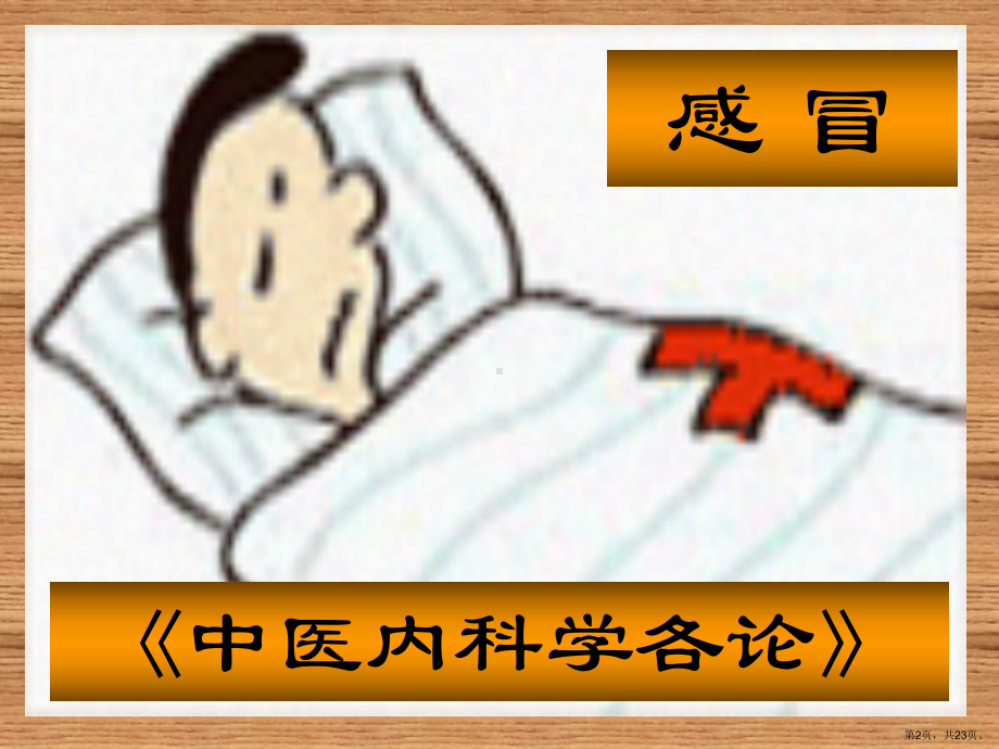 中医内科学各论课件.pptx_第2页