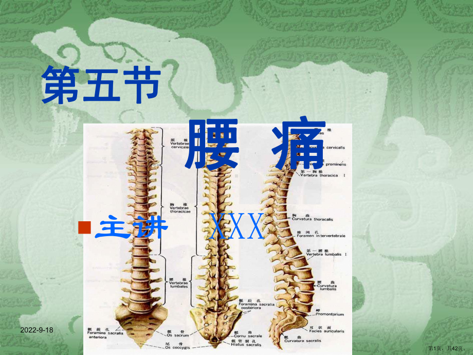 中医内科学第五节腰痛课件.pptx_第1页