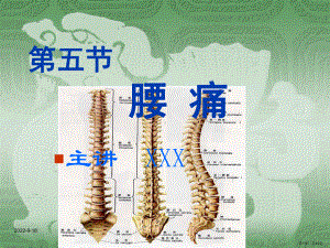 中医内科学第五节腰痛课件.pptx