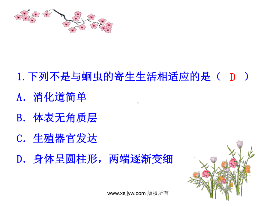 三节软体动物和节肢动物(教学课件)v.ppt_第1页