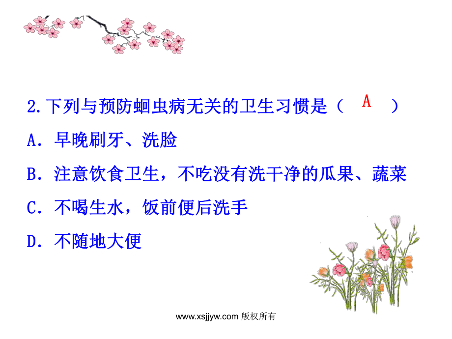 三节软体动物和节肢动物(教学课件)v.ppt_第2页