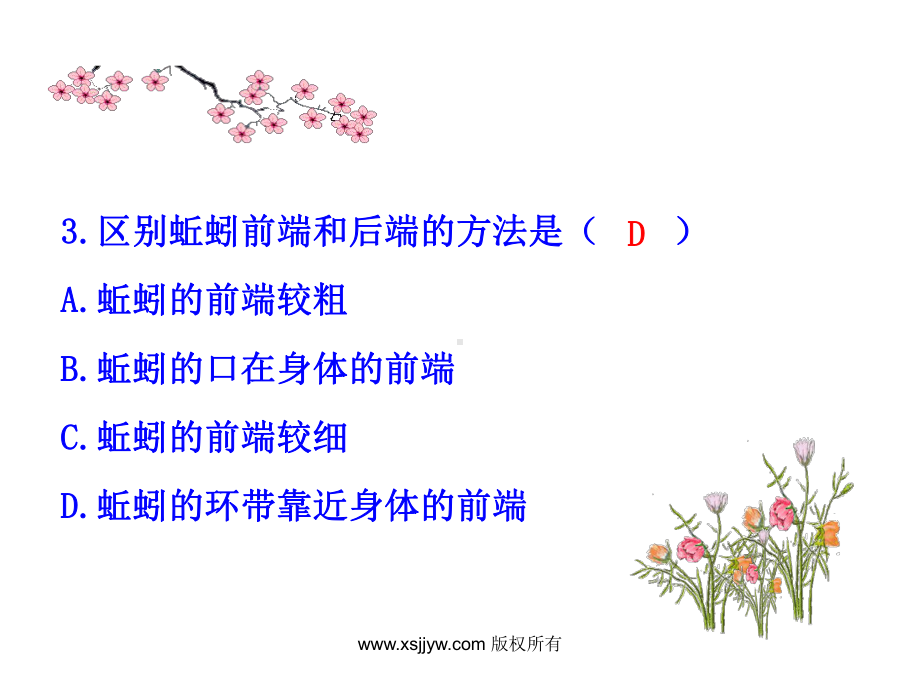 三节软体动物和节肢动物(教学课件)v.ppt_第3页