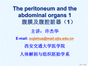 上腹部脏器解剖腹膜和胃new课件.pptx