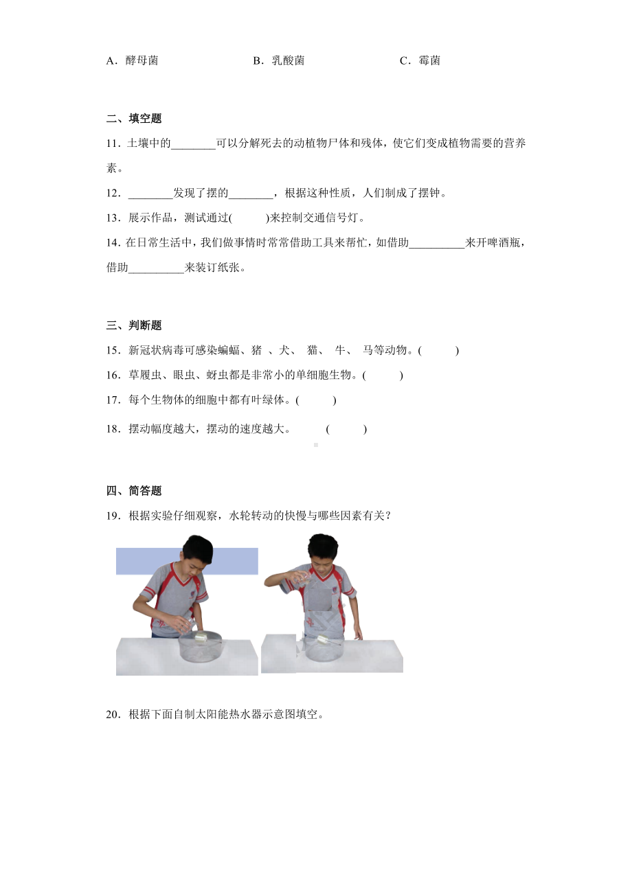 2022新教科版六年级上册《科学》第一单元《微小世界》（单元测试）.docx_第2页