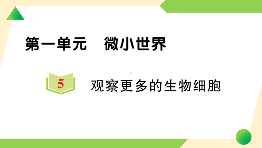 第一单元 微小世界5 观察更多的生物细胞(ppt课件)-2022新教科版六年级上册《科学》.ppt_第1页