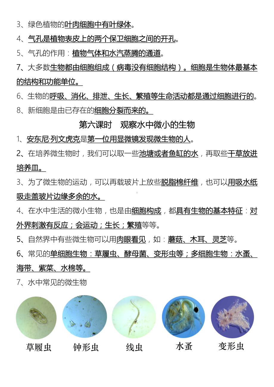 2022新教科版六年级上册《科学》第一单元微小世界知识点（素材）.docx_第3页