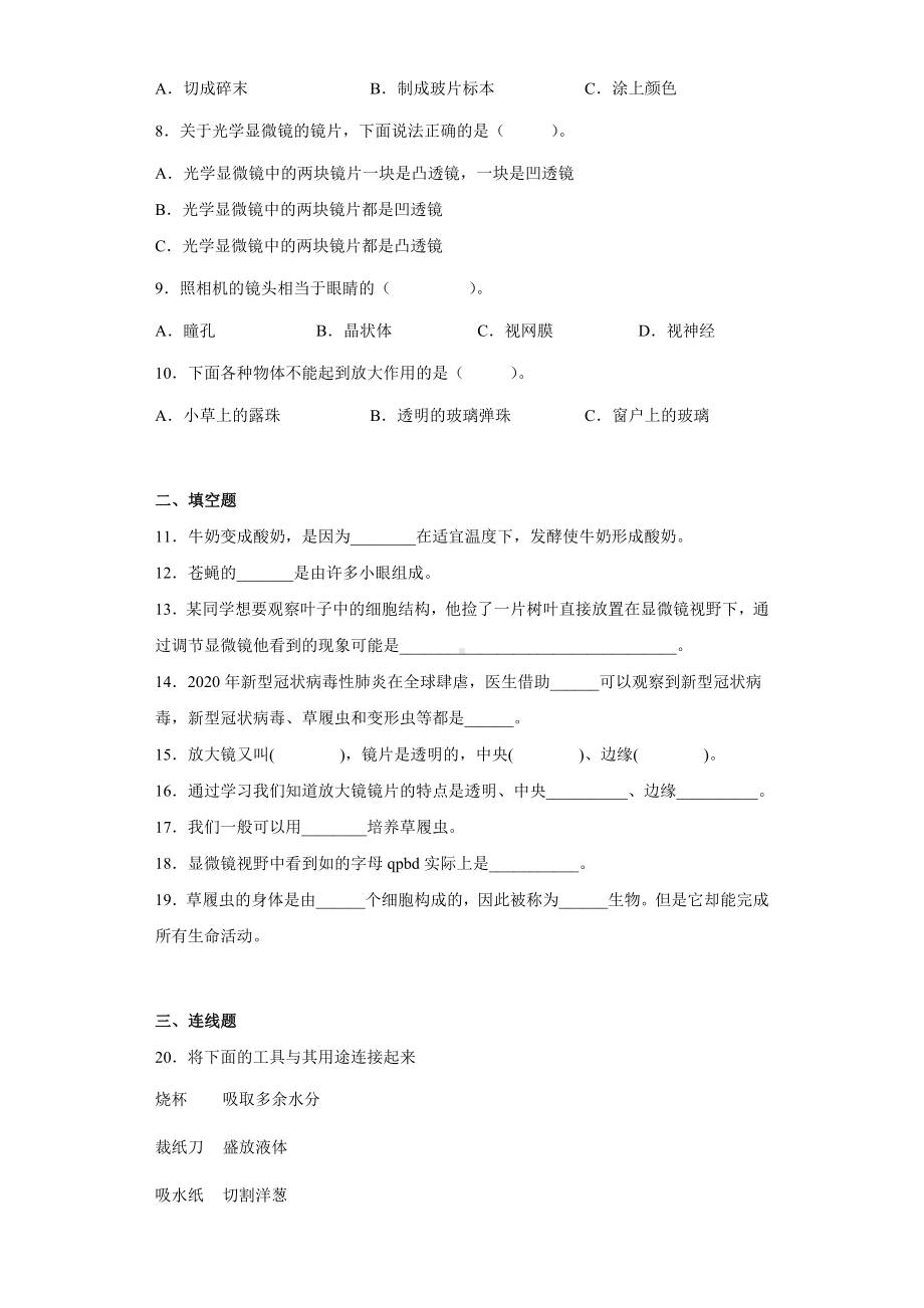 2022新教科版六年级上册《科学》第一单元《微小世界》（单元测试） .docx_第2页