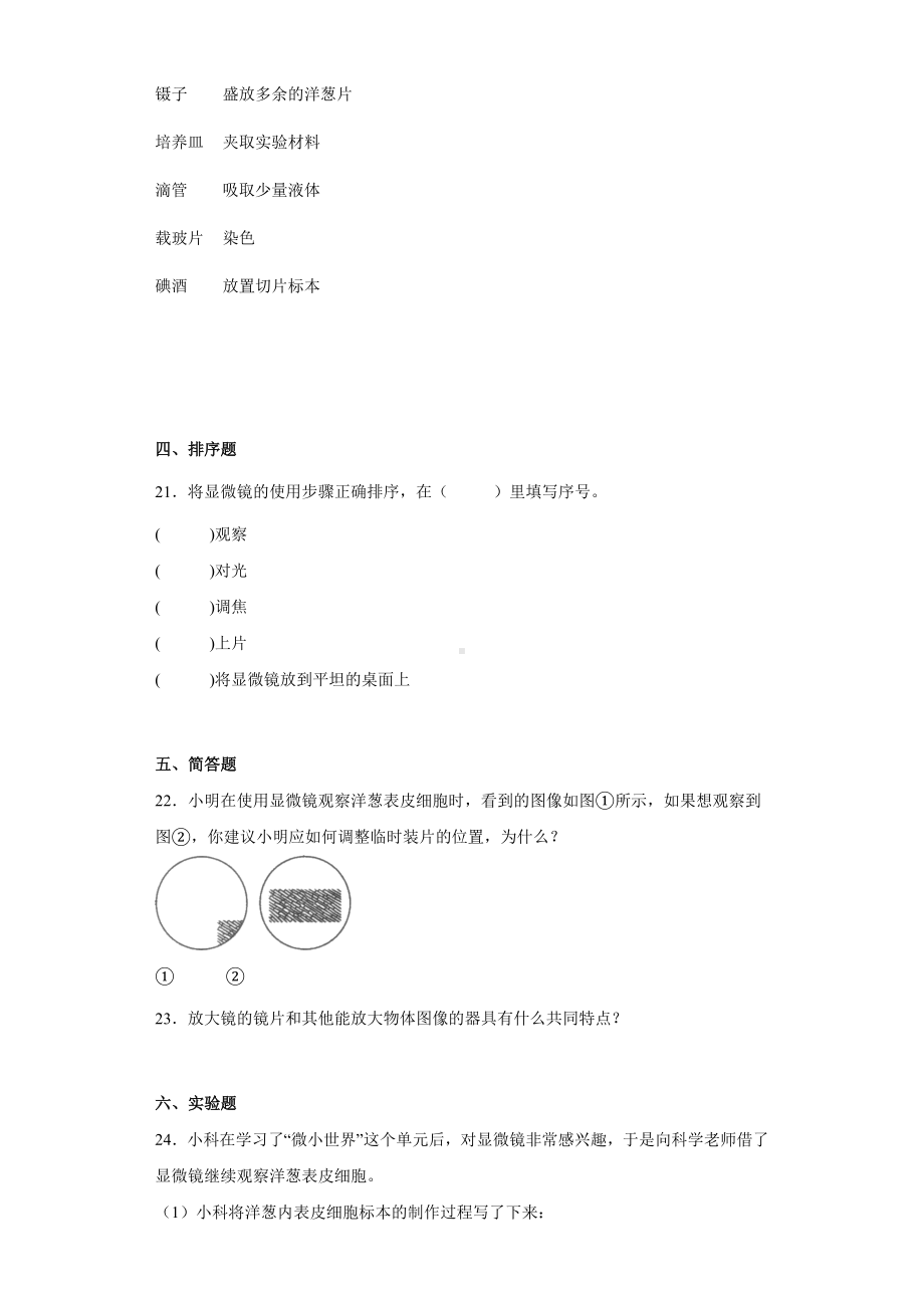 2022新教科版六年级上册《科学》第一单元《微小世界》（单元测试） .docx_第3页