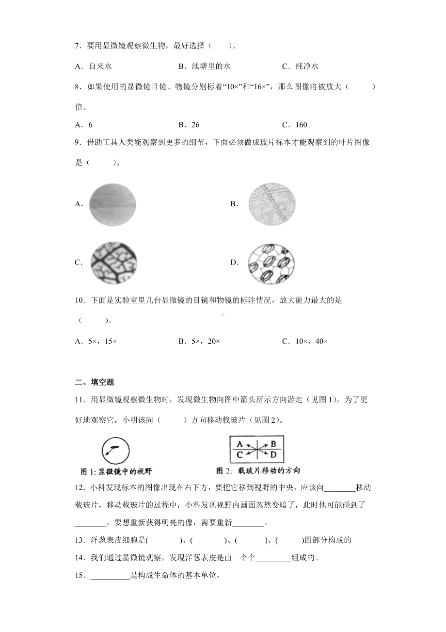 1.4观察洋葱表皮细胞（同步练习）-2022新教科版六年级上册《科学》.docx_第2页