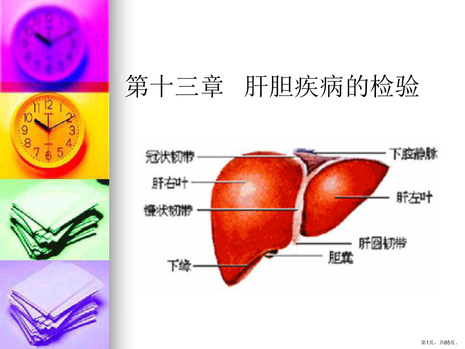 专13肝胆疾病的检验教学课件.ppt_第1页