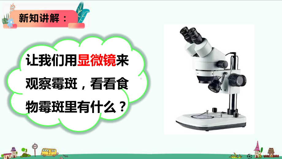 1.3《发霉的馒头》（ppt课件）-2022新大象版六年级上册《科学》.pptx_第3页