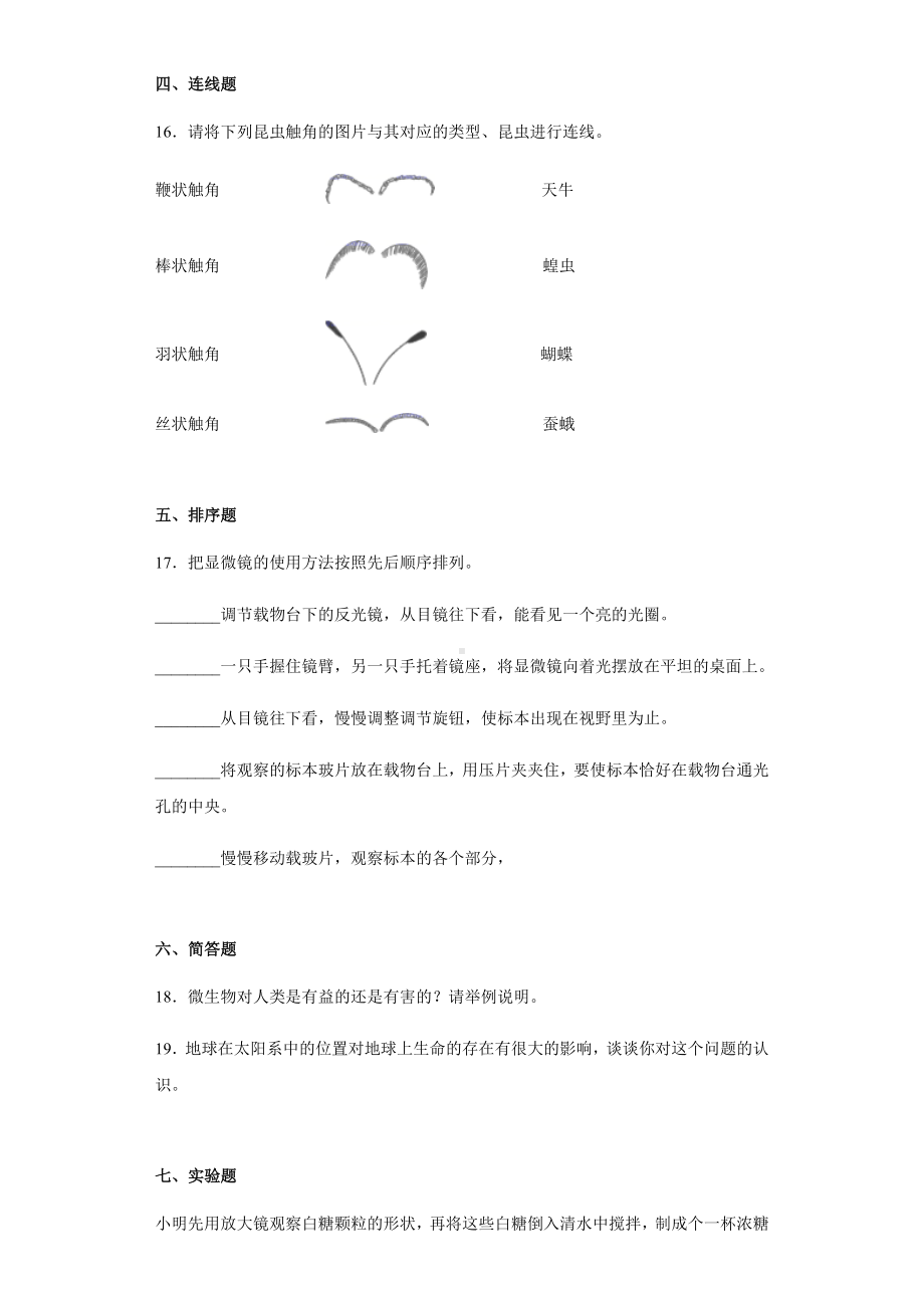 2022新教科版六年级上册《科学》期末复习(试题）.docx_第3页