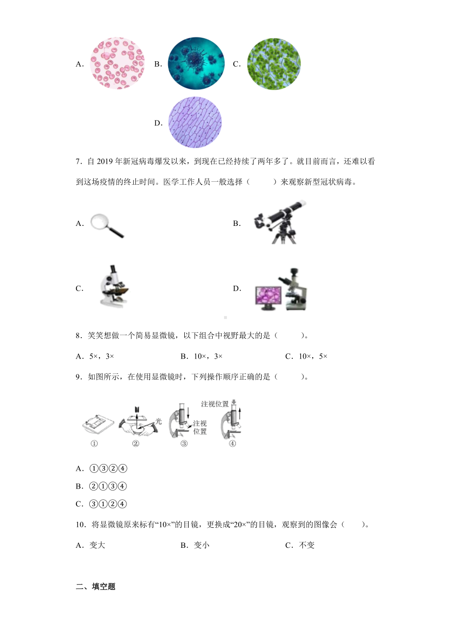 1.2怎样放得更大（同步练习）-2022新教科版六年级上册《科学》.docx_第2页