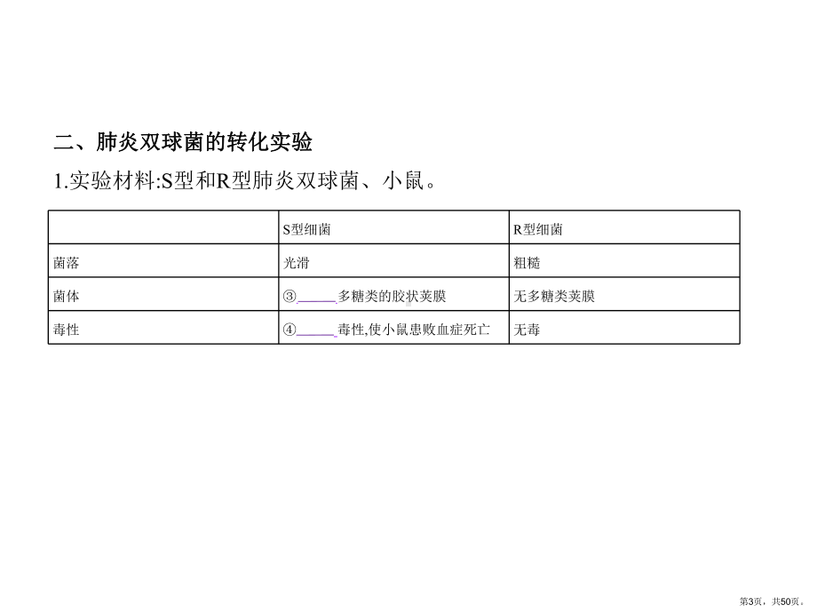 专题遗传的分子基础课件.pptx_第3页