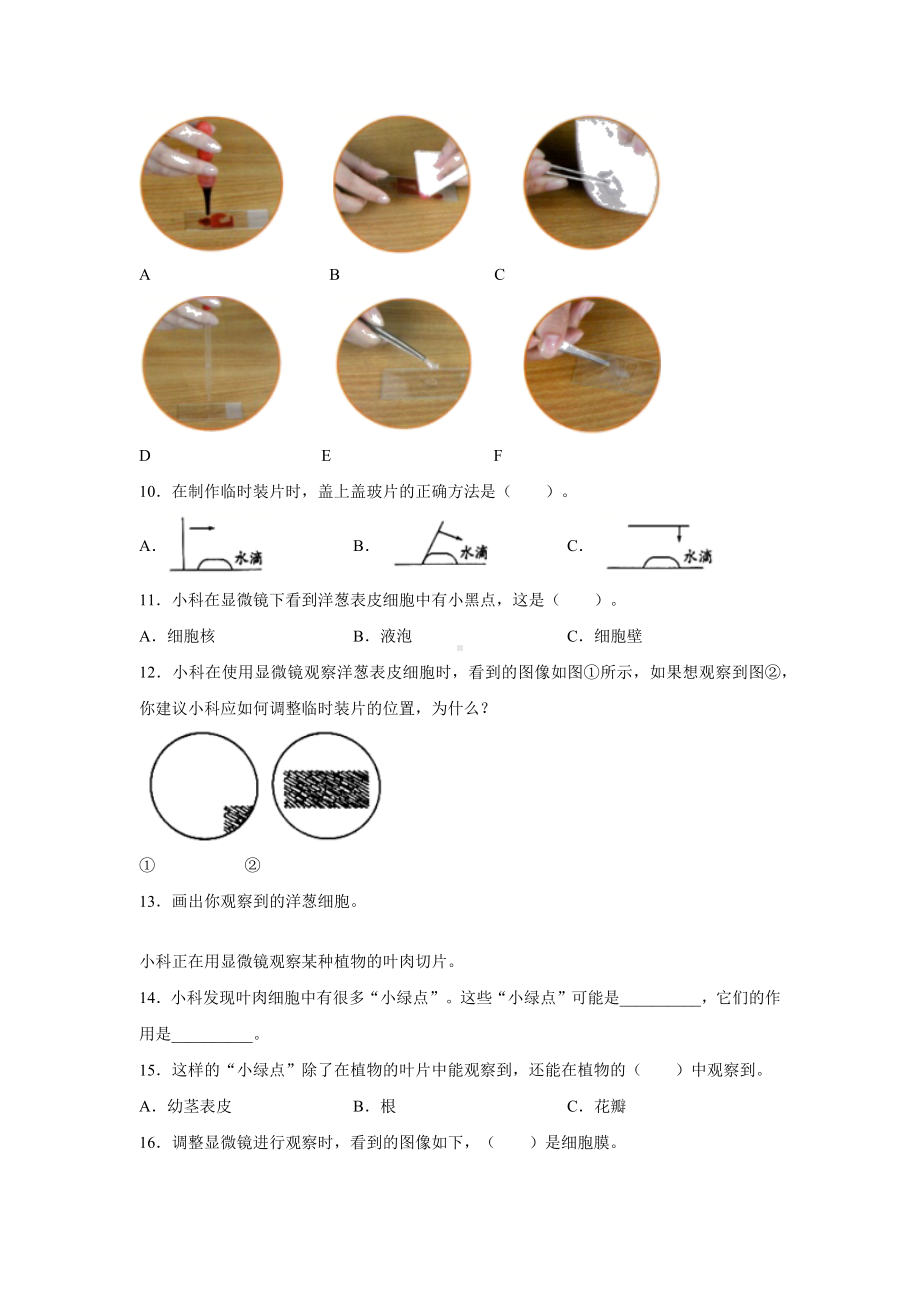 2022新教科版六年级上册《科学》期末专项复习题之实验题（试题）.docx_第2页