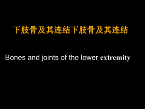 下肢骨及其连结教学课件.ppt