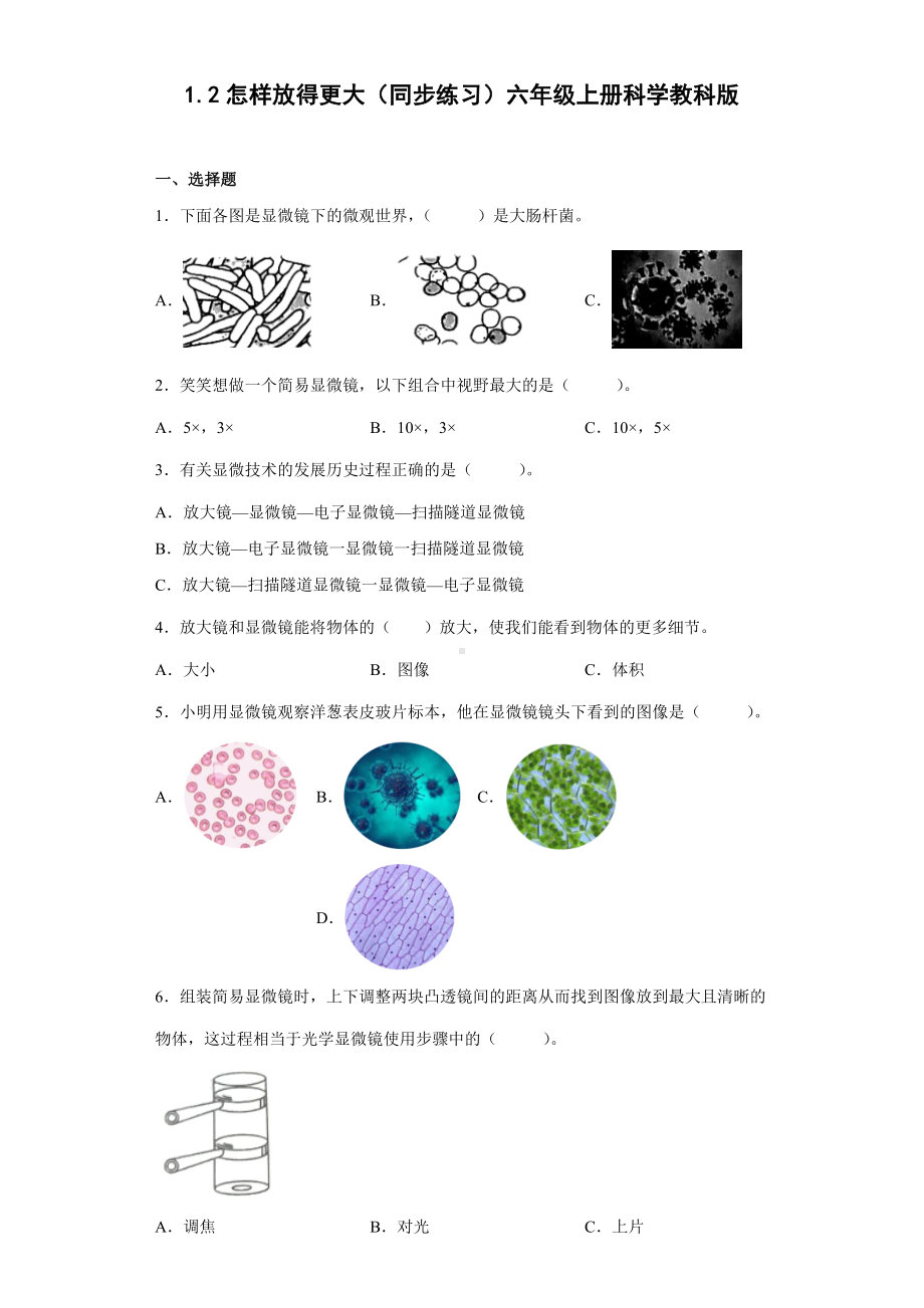 1.2怎样放得更大（同步练习）(2)-2022新教科版六年级上册《科学》.docx_第1页