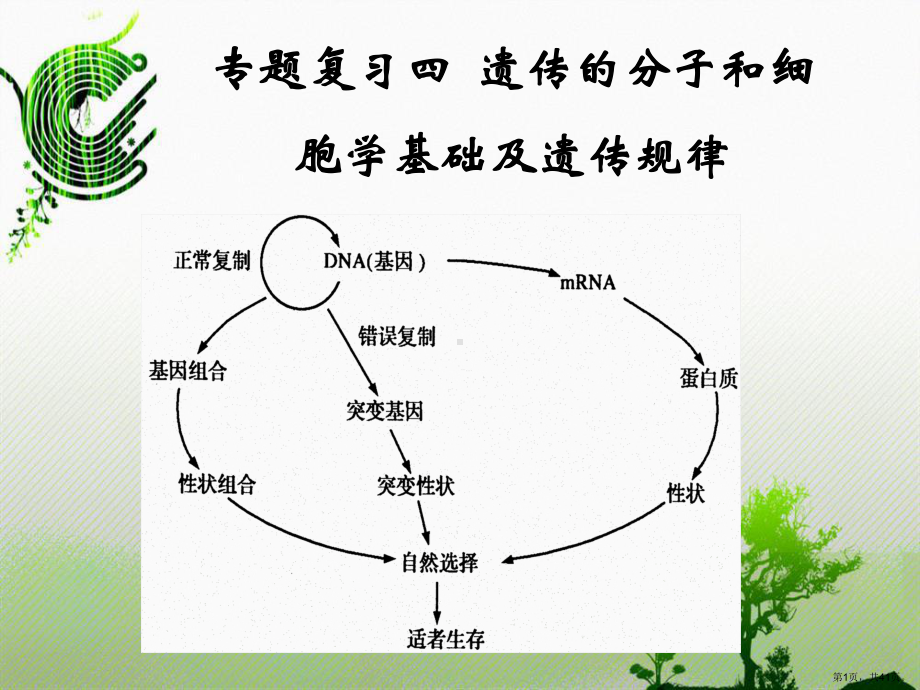 专题遗传变异进化课件.pptx_第1页