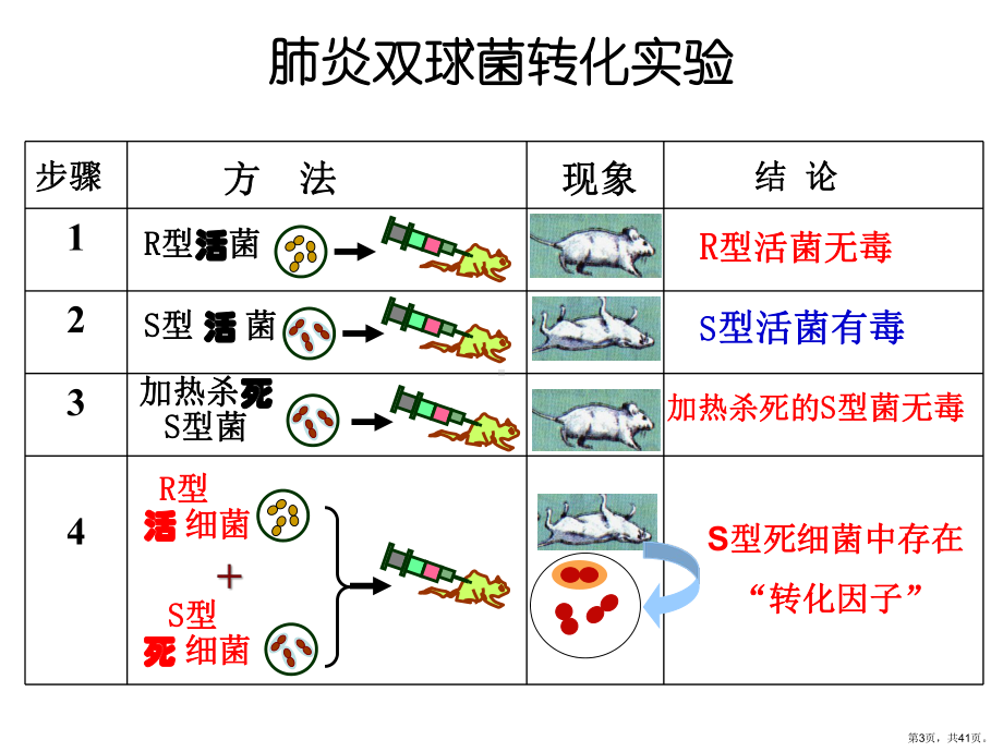 专题遗传变异进化课件.pptx_第3页