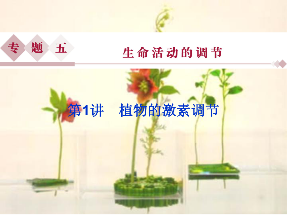 专题五第一讲w植物的激素调节复习(基础复习)公开课教学课件剖析.ppt_第1页