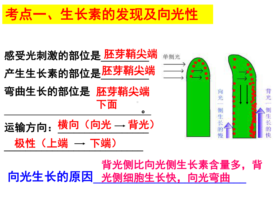 专题五第一讲w植物的激素调节复习(基础复习)公开课教学课件剖析.ppt_第3页