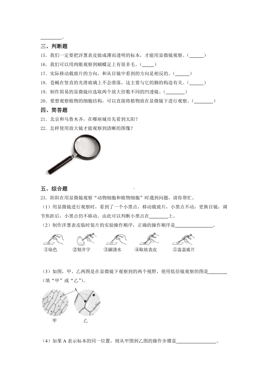 2022新教科版六年级上册《科学》期中质量训练试题 （试题）（含答案）.docx_第2页