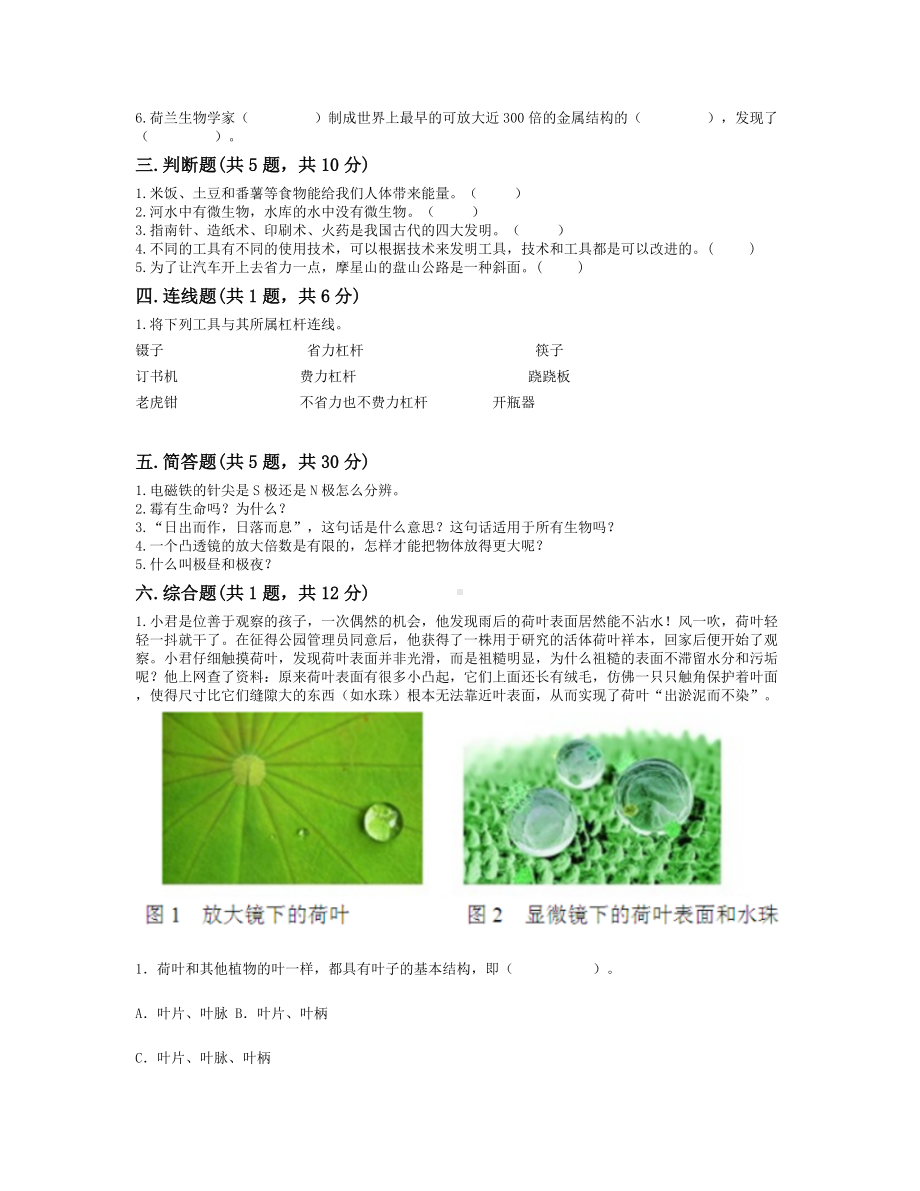 2022新教科版六年级上册《科学》期末测试卷（试题）(6).docx_第2页