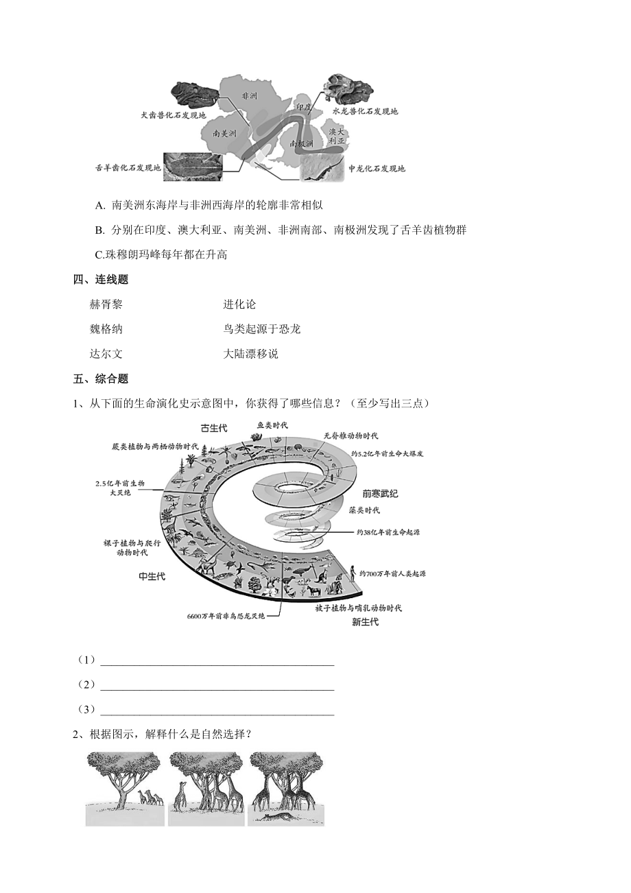 3.10《用化石作证据》（同步练习）（含答案）-2022新苏教版六年级上册《科学》.doc_第2页