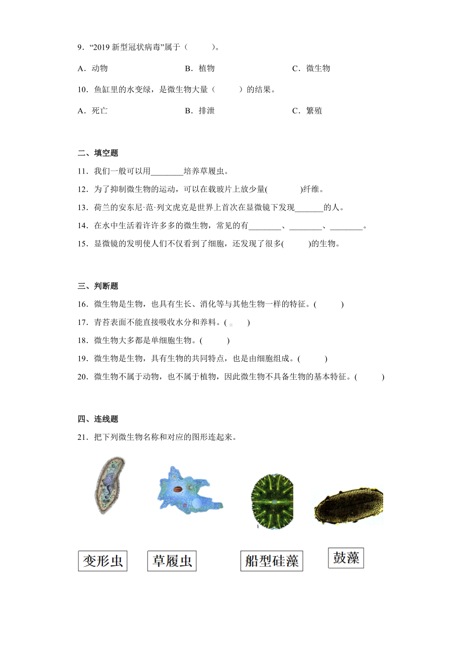 1.6观察水中微小的生物（同步练习）-2022新教科版六年级上册《科学》.docx_第2页