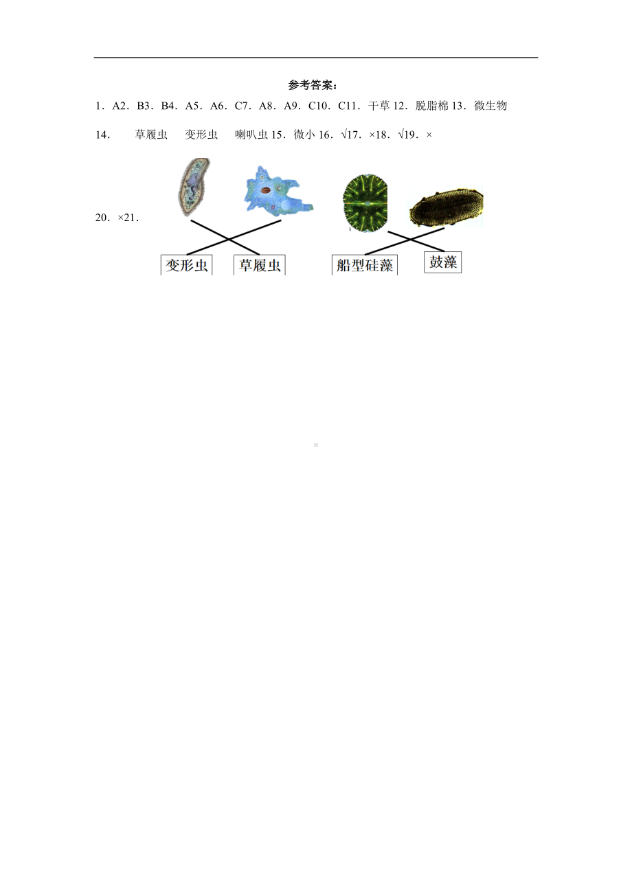 1.6观察水中微小的生物（同步练习）-2022新教科版六年级上册《科学》.docx_第3页