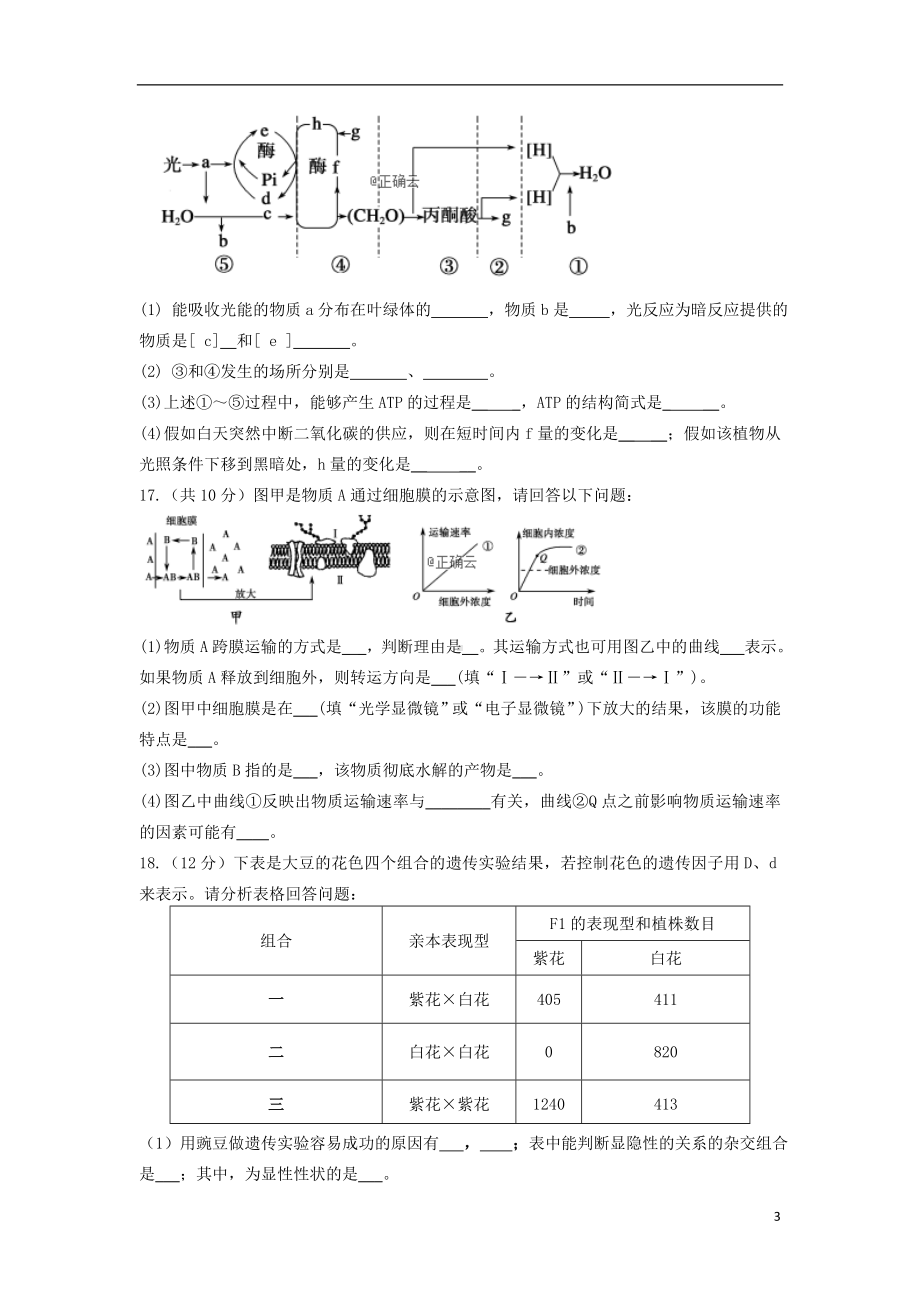 新疆阿克苏市阿瓦提四中2020届高三生物上学期第二次月考试题.doc_第3页