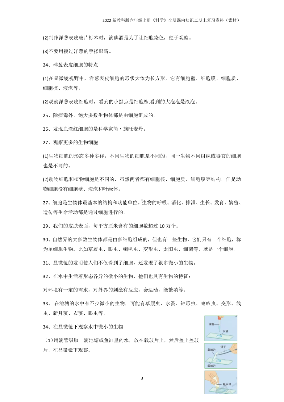 2022新教科版六年级上册《科学》全册知识点期末复习资料.docx_第3页