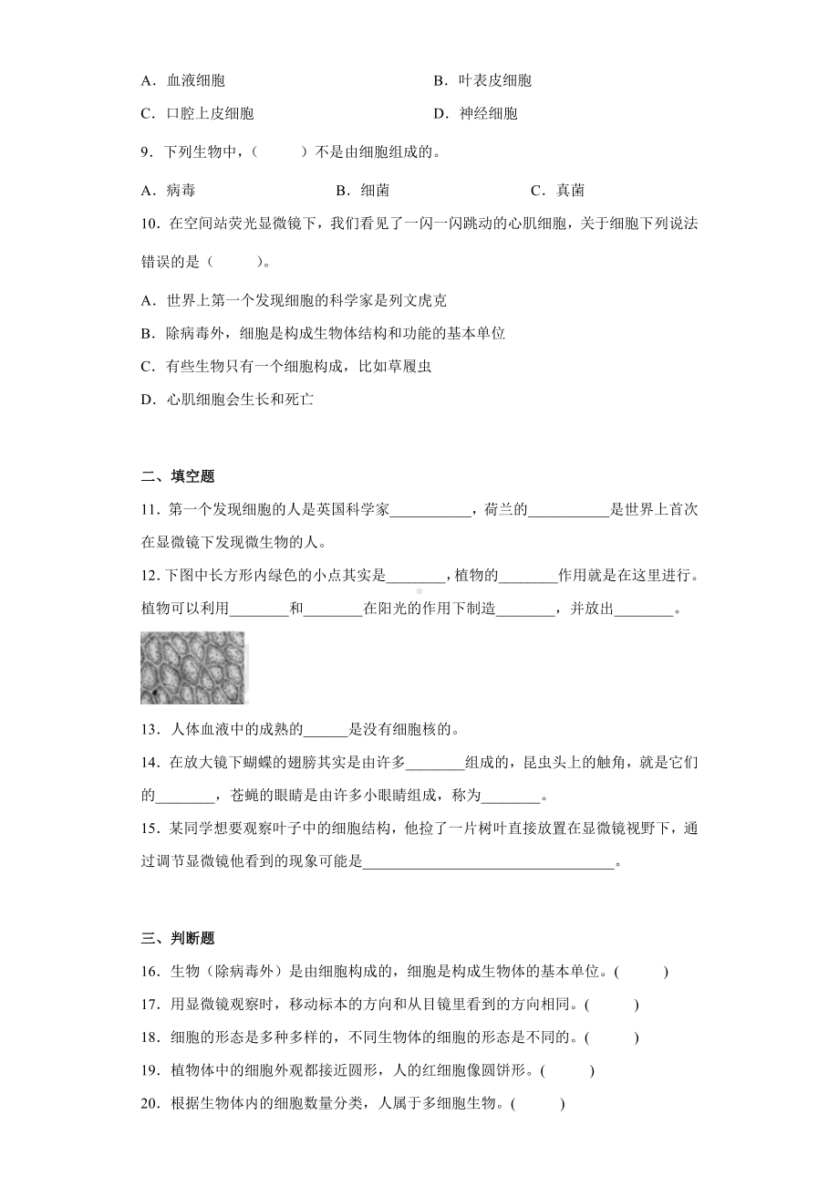 1.5观察更多的生物细胞（同步练习）-2022新教科版六年级上册《科学》.docx_第2页