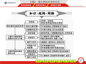 专题2微生物的培养和应用(52张)课件.pptx