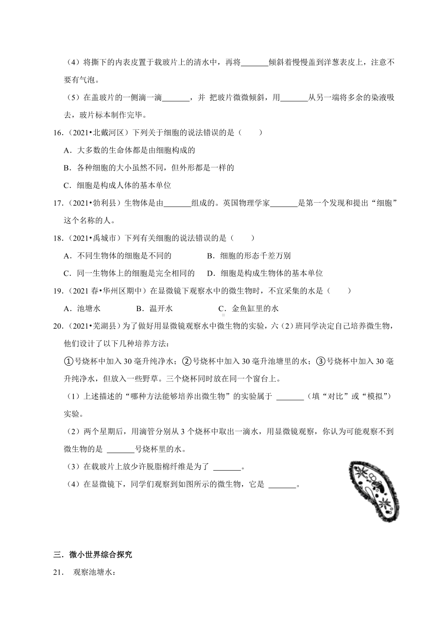 2022新教科版六年级上册《科学》期末总复习（试题）（含答案）.doc_第3页