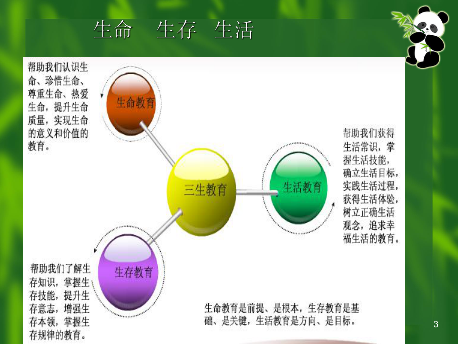 三生教育教学课件.ppt_第3页