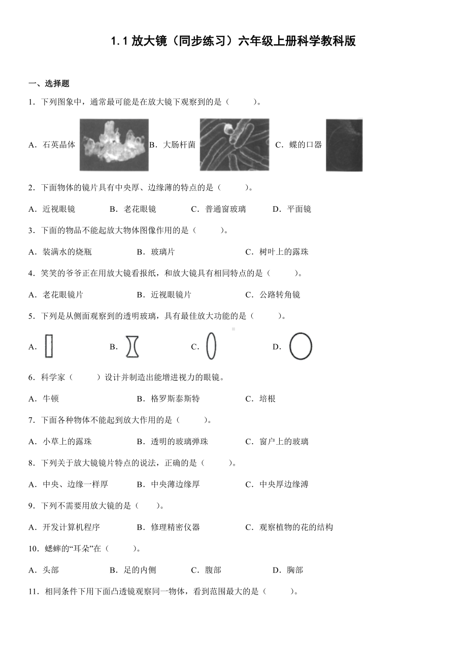 1.1放大镜（同步练习）(2)-2022新教科版六年级上册《科学》.docx_第1页