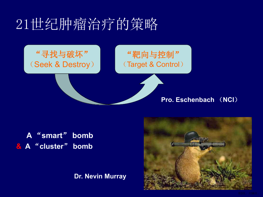 上午第一部分：肿瘤靶向治疗的理论基础与临床现状医学课件.pptx_第3页