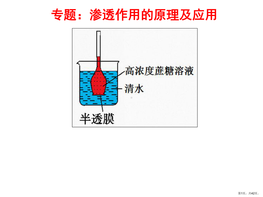 专题渗透作用的原理及应用剖析课件.pptx_第1页