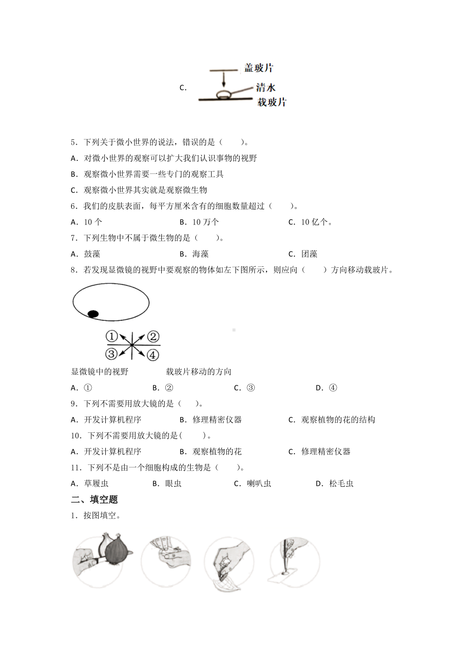 2022新教科版六年级上册《科学》第一单元 微小世界（单元测试）.docx_第2页