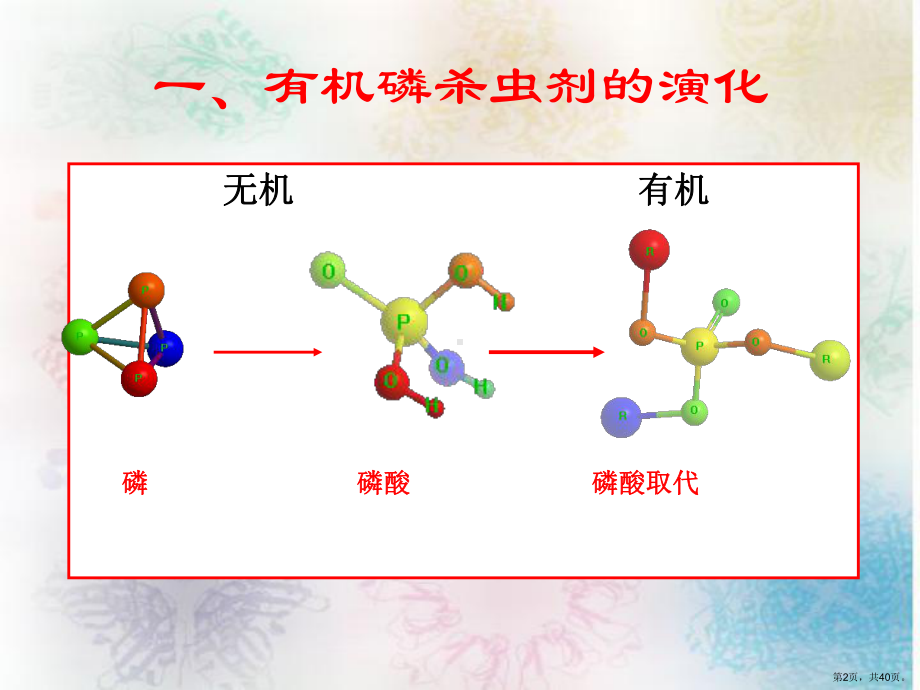 三节有机磷杀虫剂课件.pptx_第2页