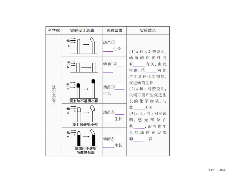 专题植物激素调节课件.pptx_第3页