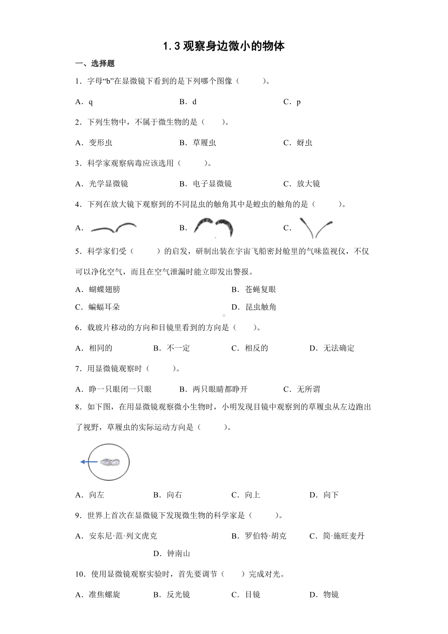 1.3观察身边微小的物体（同步练习）-2022新教科版六年级上册《科学》.docx_第1页